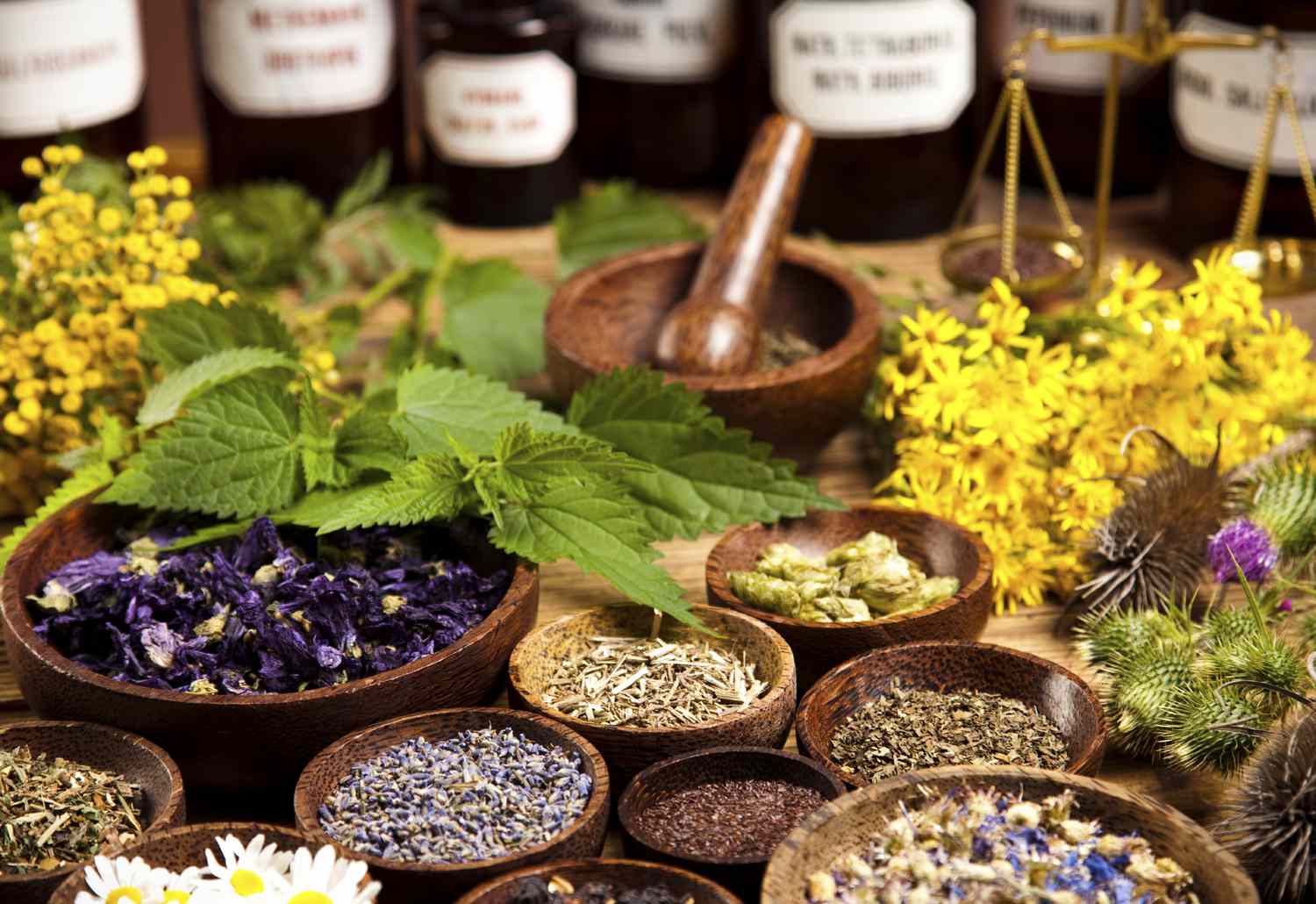 Homeopathy Remedies